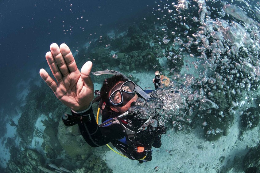 Picture 10 for Activity Playa del Carmen: Dual Realm Diving (Cenote + Reef Diving)