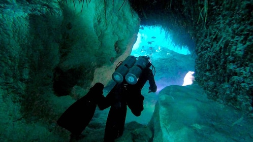 Playa del Carmen: Dual Realm Diving (Cenote + Reef Diving)