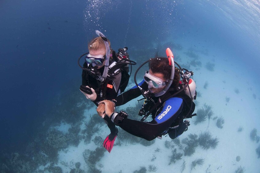 Picture 12 for Activity Playa del Carmen: Dual Realm Diving (Cenote + Reef Diving)