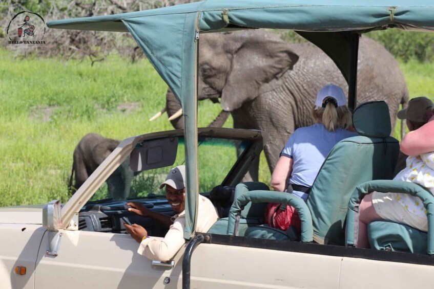 Picture 12 for Activity Selous: A 1-Day Off-Road Safari Adventure from Zanzibar