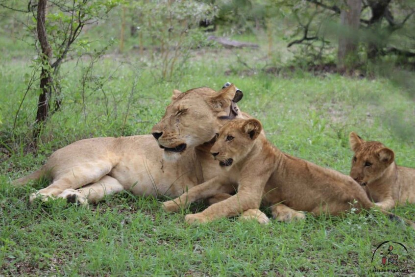 Picture 14 for Activity Selous: A 1-Day Off-Road Safari Adventure from Zanzibar