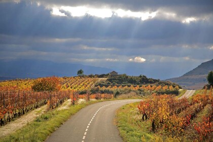 Desde Bilbao: tour de un día por Vitoria y Rioja