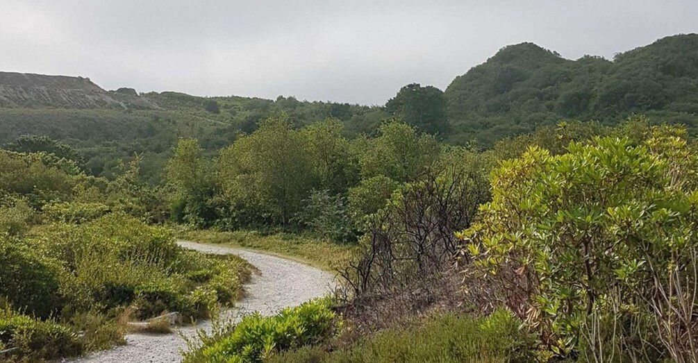 Picture 1 for Activity St Austell: Cornish Clay Country Guided Walk