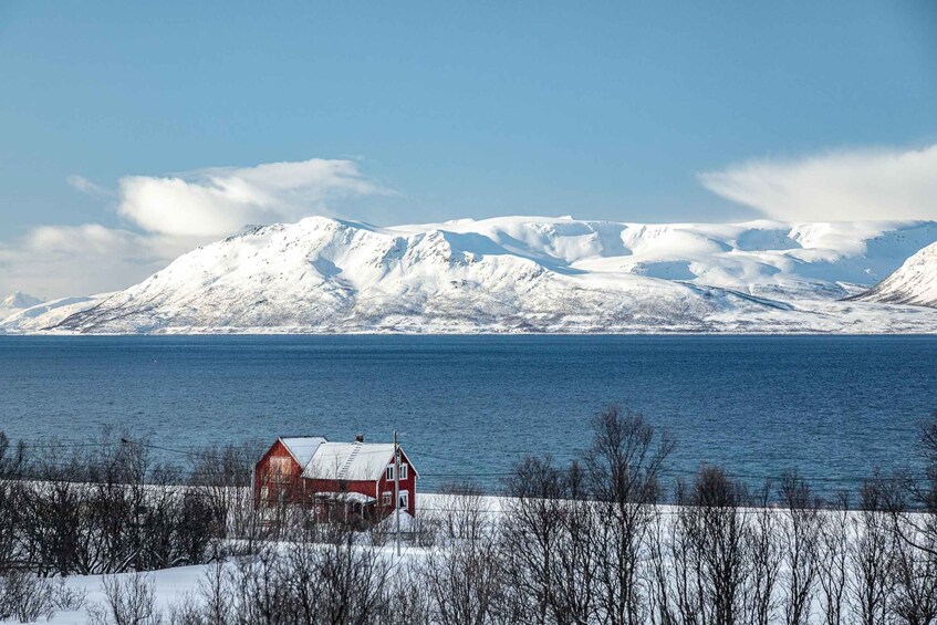 Picture 2 for Activity Lyngen: Snowmobile Safari with Lunch in seaside Restaurant