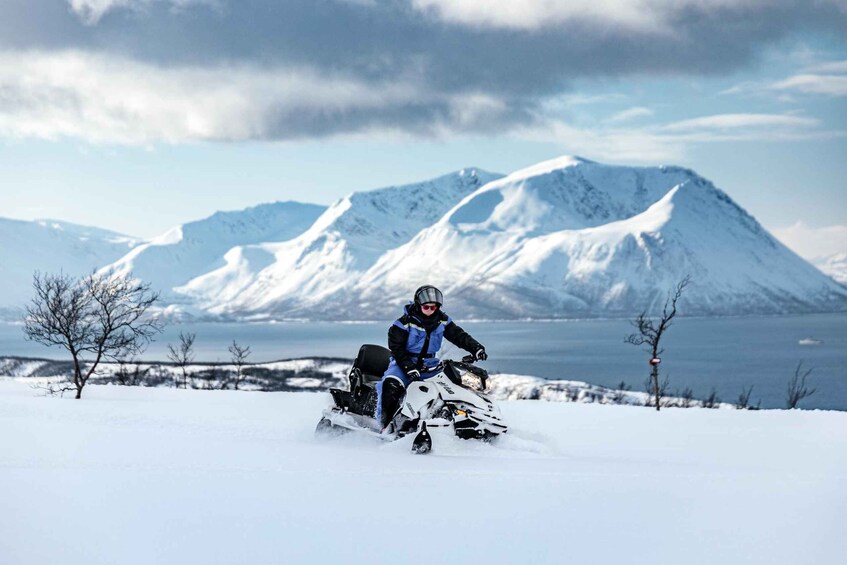 Picture 3 for Activity Lyngen: Snowmobile Safari with Lunch in seaside Restaurant