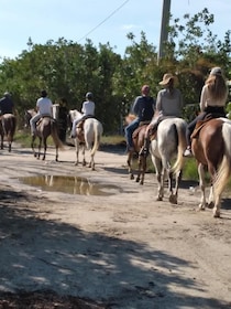 Group horseback ride on Holbox Island, Quintana Roo