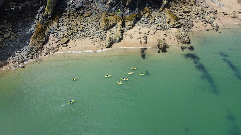 Tenby: Guided Kayaking Adventure
