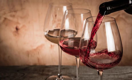 Ensenada: Valle de Guadalupe Wine Tasting Tour