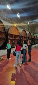 From Córdoba: Wine Tour & Jesuit Legacy