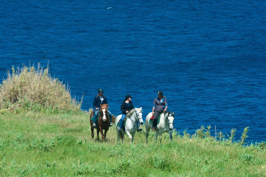 Picture 10 for Activity Faial Island: Horseback Riding on Lusitano Trail