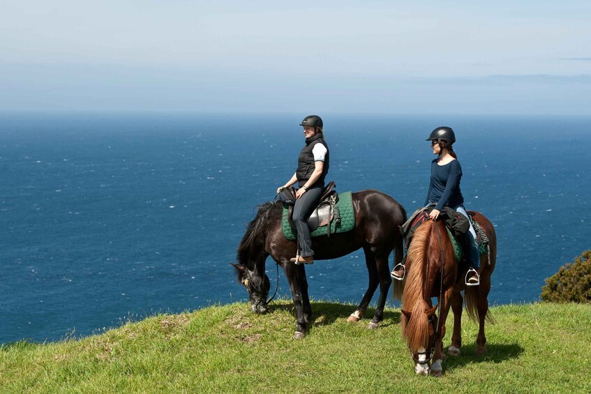 Picture 2 for Activity Faial Island: Horseback Riding on Lusitano Trail