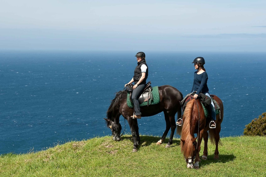 Picture 2 for Activity Faial Island: Horseback Riding on Lusitano Trail
