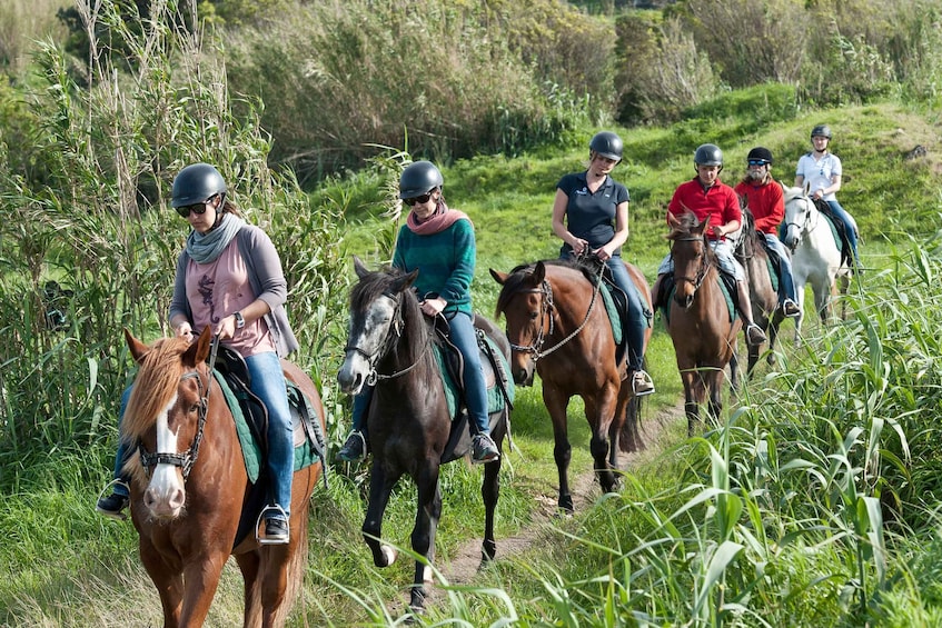 Picture 8 for Activity Faial Island: Horseback Riding on Lusitano Trail