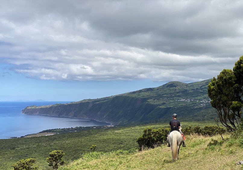 Picture 3 for Activity Faial Island: Horseback Riding on Lusitano Trail