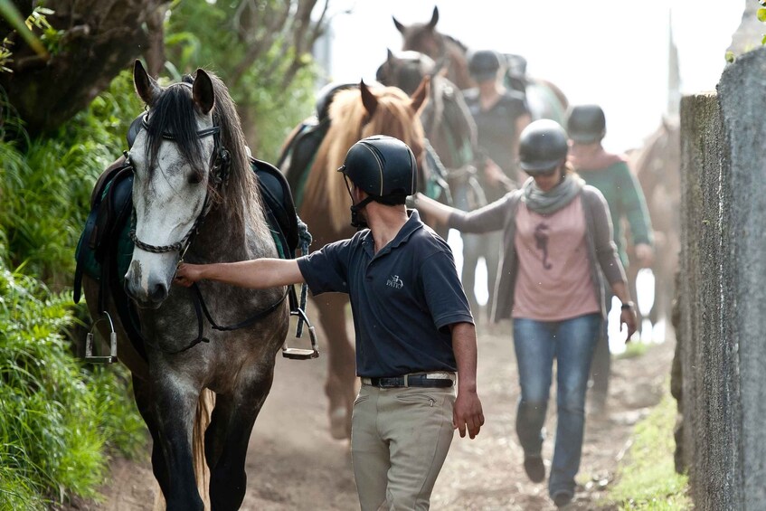 Picture 7 for Activity Faial Island: Horseback Riding on Lusitano Trail