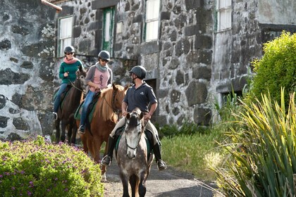 Isla Faial: paseos a caballo por el sendero Lusitano