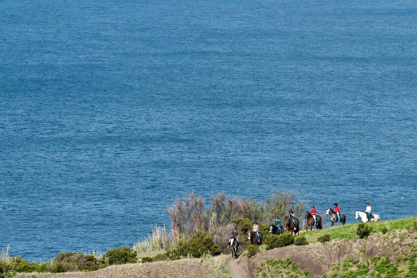 Picture 6 for Activity Faial Island: Horseback Riding on Lusitano Trail