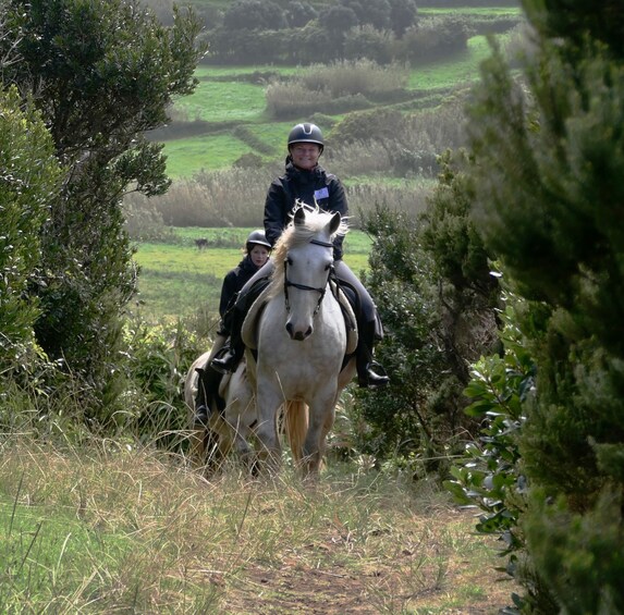 Picture 9 for Activity Faial Island: Horseback Riding on Lusitano Trail