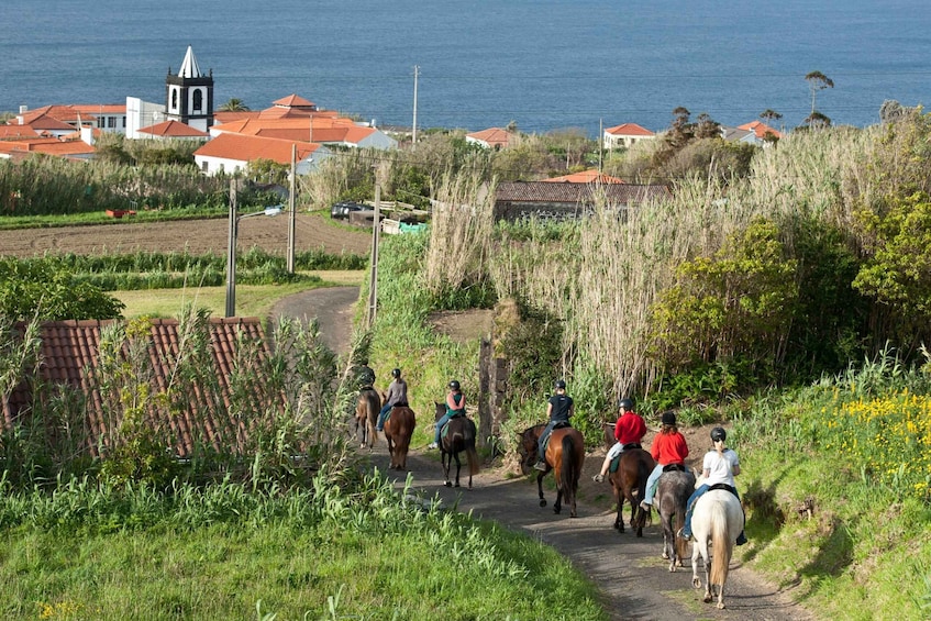 Picture 1 for Activity Faial Island: Horseback Riding on Lusitano Trail