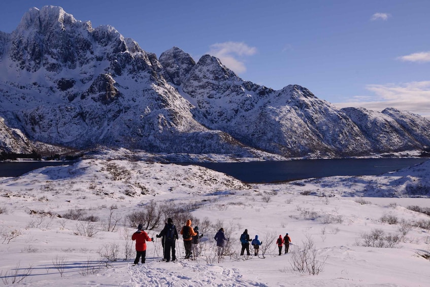 Picture 4 for Activity Svolvær: Snowshoe Nature Explorer