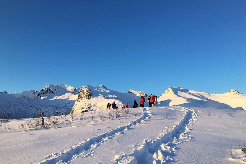 Picture 6 for Activity Svolvær: Snowshoe Nature Explorer