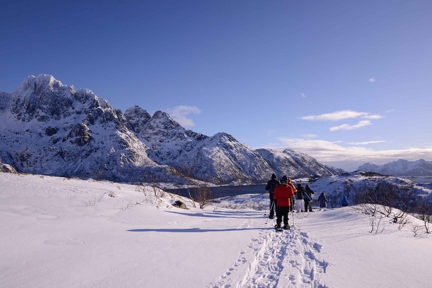 Picture 2 for Activity Svolvær: Snowshoe Nature Explorer