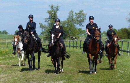 Hirschburg: Horseback riding for beginners