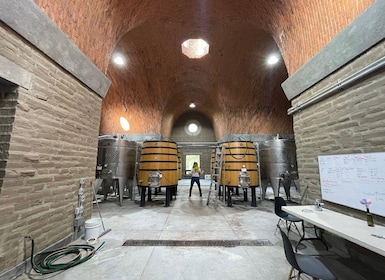 San Miguel de Allende: A Journey Through Vineyards
