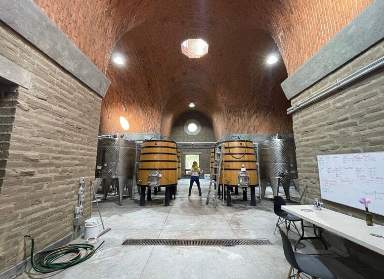 San Miguel de Allende: A Journey Through Vineyards