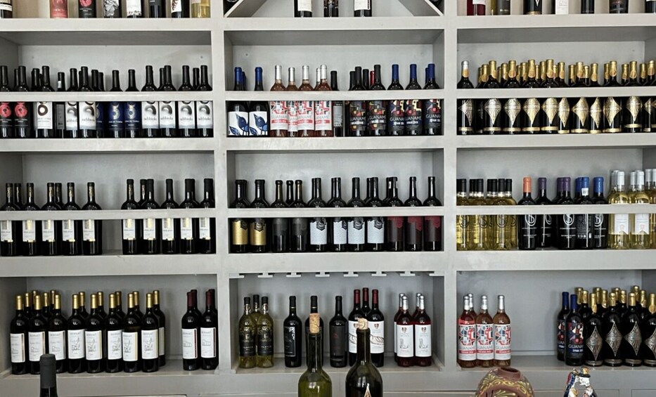 Picture 4 for Activity San Miguel de Allende: A Journey Through Vineyards