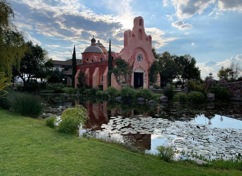 Picture 1 for Activity San Miguel de Allende: A Journey Through Vineyards