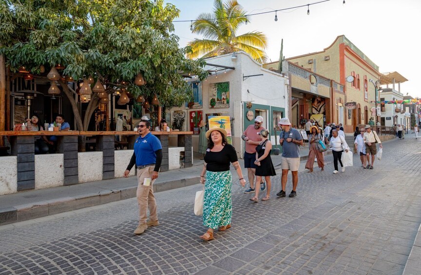 Los Cabos: San Jose del Cabo Art Walk and Beer Tasting Tour