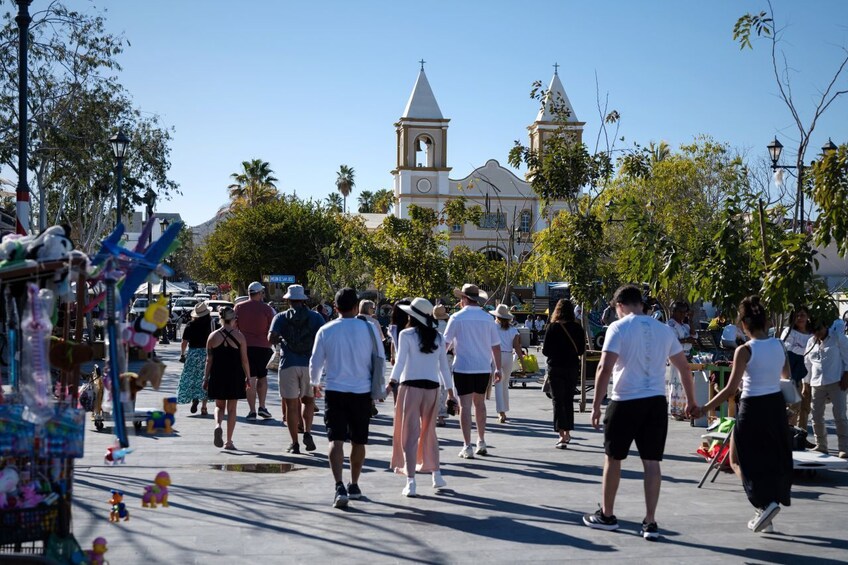 Los Cabos: San Jose del Cabo Art Walk and Beer Tasting Tour