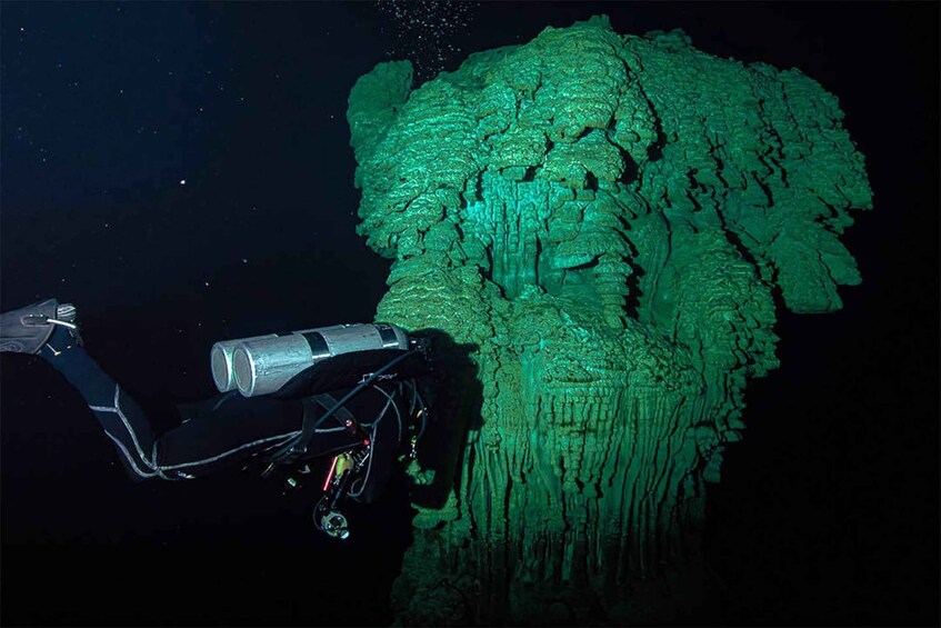 Picture 4 for Activity Playa del Carmen: High-Octane Cenote Diving Combo