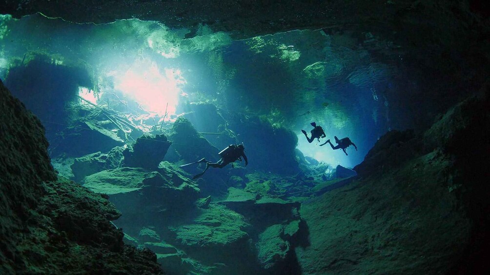 Picture 2 for Activity Playa del Carmen: High-Octane Cenote Diving Combo