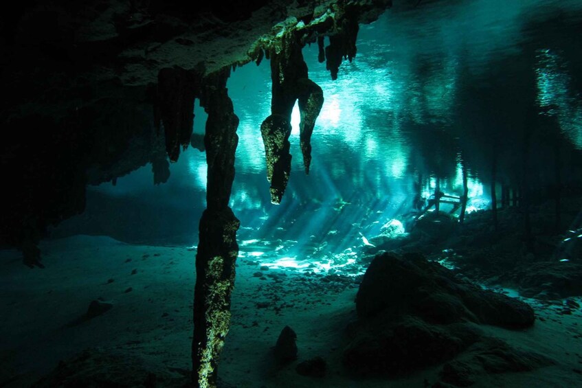 Picture 1 for Activity Playa del Carmen: High-Octane Cenote Diving Combo