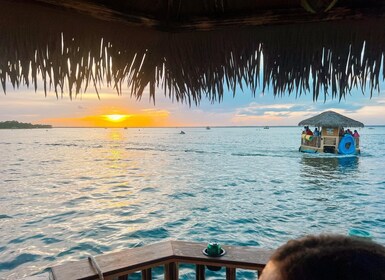 Destin: Sunset Crab Island & Dolphin Tour on Tiki Vessel