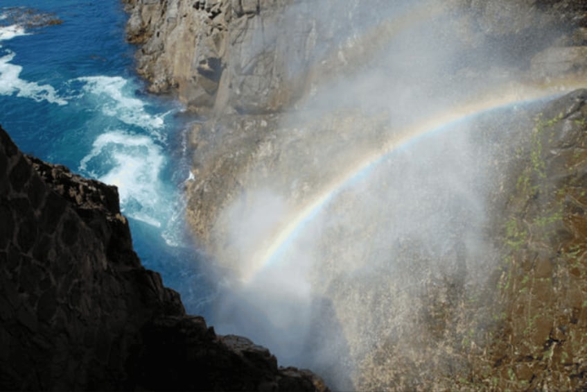 Picture 1 for Activity Ensenada: Private Tour to La Bufadora Geyser