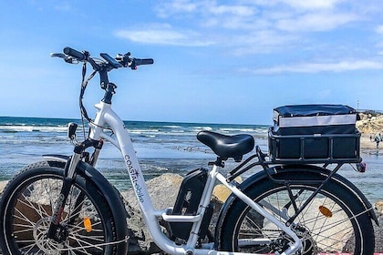 1 Day Electric Bike Rental in Solana Beach