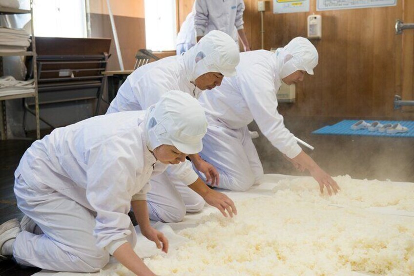 Exploring Nada Sake Breweries Kobe Private Tour with Nationally-Licensed Guide