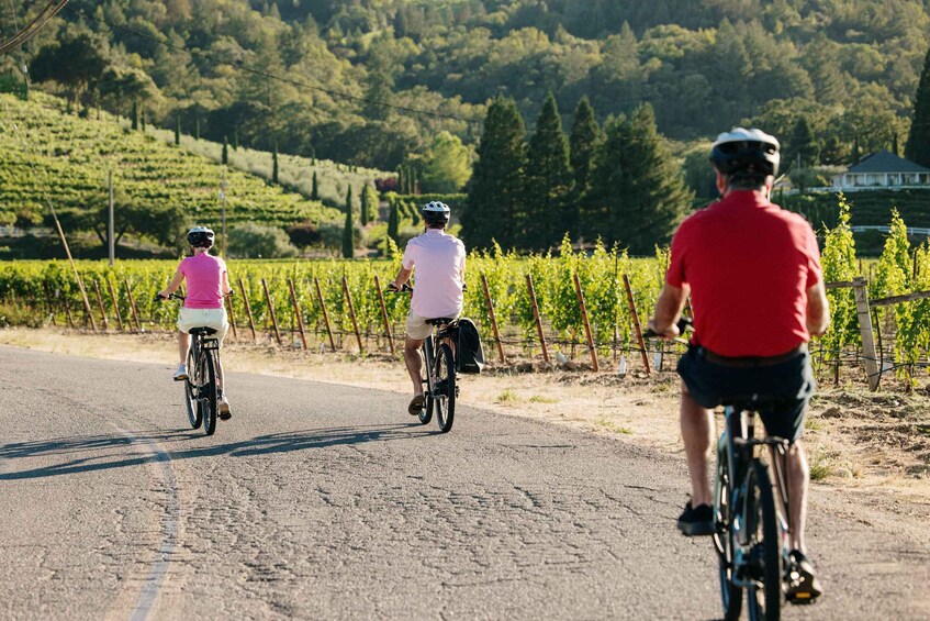 Picture 4 for Activity Healdsburg: Guided Electric Bike Wine Tour with Winery Stops