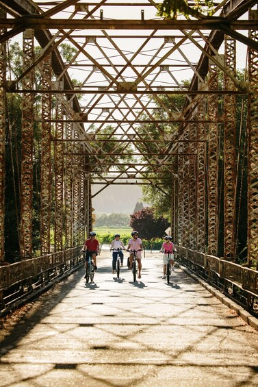 Picture 1 for Activity Healdsburg: Guided Electric Bike Wine Tour with Winery Stops