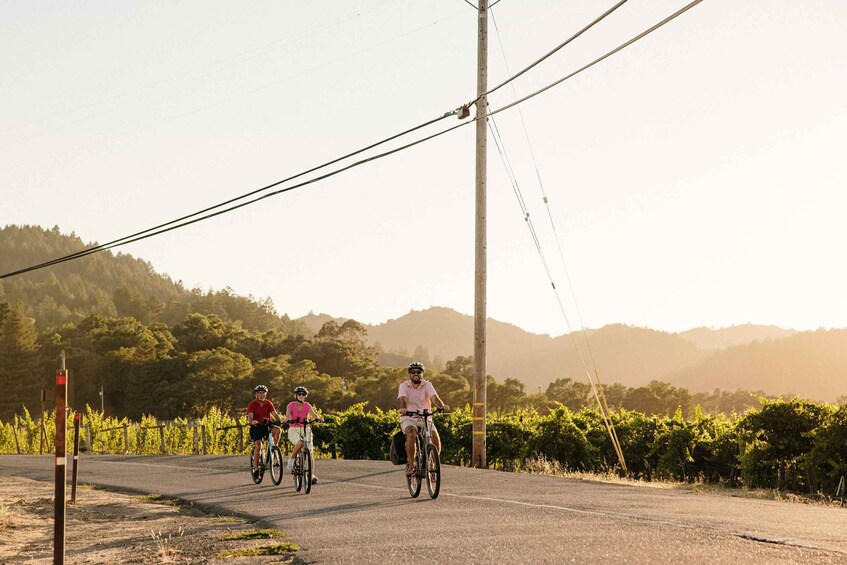 Picture 2 for Activity Healdsburg: Guided Electric Bike Wine Tour with Winery Stops
