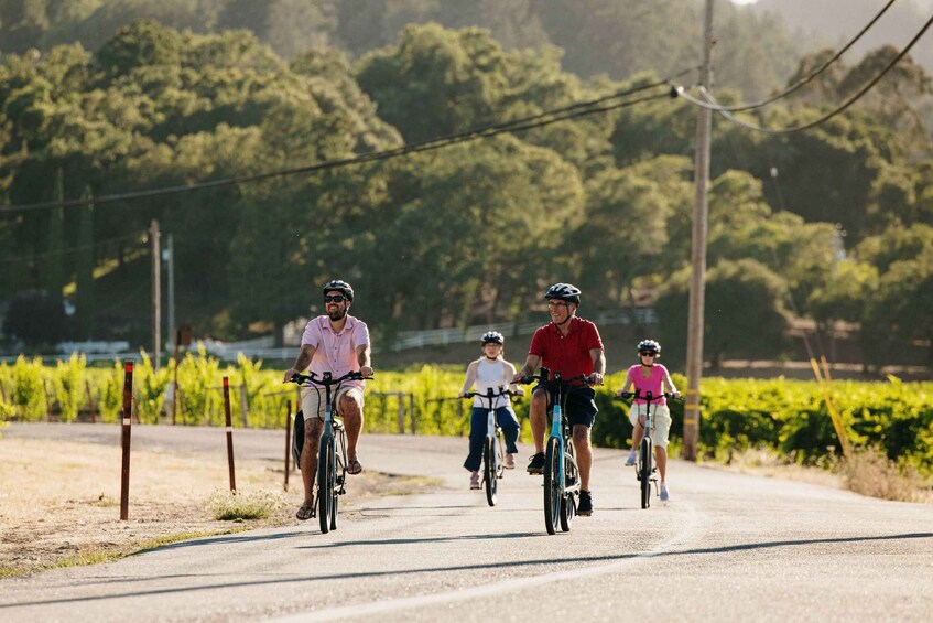 Picture 3 for Activity Healdsburg: Guided Electric Bike Wine Tour with Winery Stops