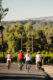 Sonoma: Guided E-Bike Wine Tour with Winery Stops