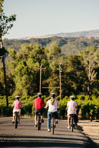 Healdsburg: Guided Electric Bike Wine Tour with Winery Stops