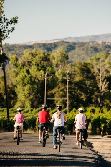 Healdsburg: Guided Electric Bike Wine Tour with Winery Stops