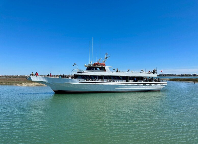 Picture 4 for Activity Myrtle Beach: Dolphin & Sealife Cruise, Great For All Ages!