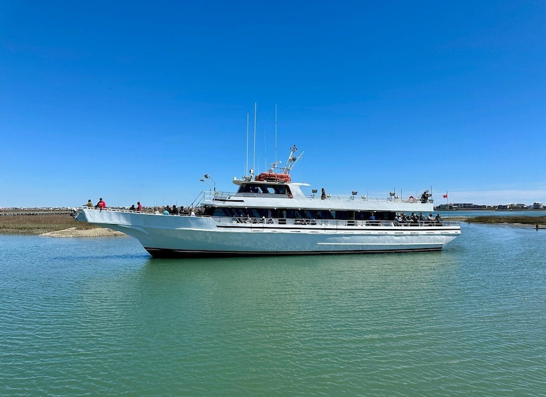 Picture 4 for Activity Myrtle Beach: Dolphin & Sealife Cruise, Great For All Ages!