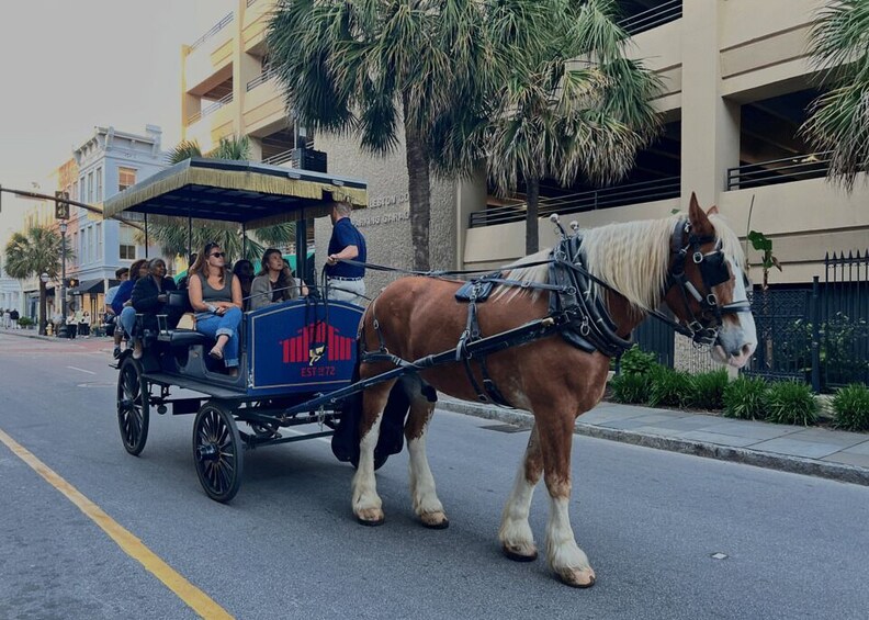 Picture 2 for Activity Charleston, SC: Private Evening Horse & Carriage Tour